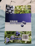 圖解藍莓整形修剪與栽培月歷 曬單實拍圖