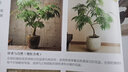 室內(nèi)綠植搭配與養(yǎng)護(hù)完全手冊(cè)：用綠植打造花園家居（日本專業(yè)綠植設(shè)計(jì)師經(jīng)驗(yàn)總結(jié) 植物殺手也能打造高顏值綠意家居） 曬單實(shí)拍圖