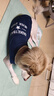 超可耐夏天大型犬狗狗衣服金毛衣服邊牧拉布拉多薩摩耶大狗衣服薄款背心 藏青 6XL碼(80斤左右) 曬單實拍圖