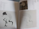 中國(guó)歷代名畫(huà)技法精講系列：故宮畫(huà)譜（花鳥(niǎo)卷·仙鶴） 曬單實(shí)拍圖