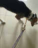 AYOUA狗狗牽引繩大型犬狗鏈子狗項圈狗繩子雙層牛皮金毛拉布拉多遛狗繩 深棕色+防爆沖彈簧 牽引繩（不含項圈） 曬單實(shí)拍圖