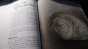 素描的訣竅 25周年白金版 創(chuàng)意素描書入門教材 自學(xué)基礎(chǔ)教材 伯特多德森 藝術(shù)美術(shù)技法書 繪畫學(xué)習(xí)者書 素描書籍教程 曬單實拍圖