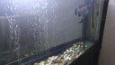 森森增氧泵水族箱充氧泵魚(yú)缸增氧機小型迷你養魚(yú)魚(yú)缸大氣量氧氣泵 （臥室可放）4W單孔CT-201單泵 曬單實(shí)拍圖