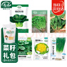 壽禾 蔬菜種子種苗秋季菠菜香菜黃心烏蘇州青 冬季6種蔬菜種子大全 曬單實拍圖