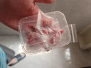 品云美寵冰凍小白鼠乳鼠老鼠活體玉米蛇蜥蜴飼料食物 【京東冷鏈】開口料 1~1.8g 10只 凍乳鼠 曬單實拍圖