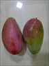 桃李村芒果 海南貴妃芒果新鮮應(yīng)季熱帶芒果整箱生鮮水果 海南貴妃芒果 3斤嘗鮮普通裝 曬單實拍圖