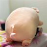 捉趣（ZHUOQU）小猪玩偶毛绒玩具女孩趴趴猪公仔布娃娃陪睡觉抱枕儿童女生日礼物 bobo猪圆眼款 60cm 实拍图