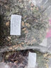 廣東涼茶二十四味涼茶料包工廠工地夏天商用涼茶大包1kg原料配方 化濕茶一公斤 曬單實(shí)拍圖