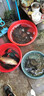 博菲特日本長(cháng)竿超硬19調16米打窩竿釣魚(yú)竿逗釣巨物長(cháng)節超長(cháng)炮竿遠距離 新款二代（15米+前兩節+竿包） 曬單實(shí)拍圖