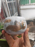 古晏瓷景德鎮龍鳳金絲茶杯主人杯大師高檔個(gè)人專(zhuān)用單杯建盞茶盞情侶對杯 祥龍+瑞鳳-鎏金對杯(內金葉)【高端禮盒】 200mL以下 曬單實(shí)拍圖