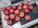 十月的味道順豐2025國家地標鑒賞級東方紅正宗煙臺棲霞紅富士禮盒水果生鮮 18個(gè)裝10斤鑒賞級東方紅85-90mm 曬單實(shí)拍圖