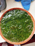 卡依香鞭炮筍馬尾藻羊棲菜新鮮鹽漬鞭炮筍火鍋食材海藻海菜涼拌菜炮仗筍 鞭炮筍250g*4袋 曬單實(shí)拍圖