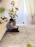 卡提克蘭地毯客廳輕奢高級沙發(fā)茶幾墊北歐極簡(jiǎn)灰色家用臥室床邊毯2025新款 西雅圖-03（威爾頓機織地毯） 160cm*230cm 1件 曬單實(shí)拍圖
