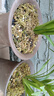 劉閣蘭花蘭花苗盆栽夏帶花苞發(fā)貨名貴花卉 金秋歲月四季開(kāi)花綠植室內香蘭 千日紅2苗帶盆土肥,說(shuō)明書(shū) 曬單實(shí)拍圖