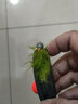 Wifreo 水草鉤 青草鉤 仿生水草路亞草魚(yú)鯉魚(yú)鳊魚(yú)假餌 臺釣浮球綁好線(xiàn)組 【1付裝】7g鉛綁好浮球線(xiàn)組 6#（釣2-5斤魚(yú)） 曬單實(shí)拍圖