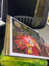 百年百部图画书系：梨子提琴 第15届文津图书奖少儿类推荐图书（彩铅画）(中国环境标志产品 绿色印刷) 实拍图