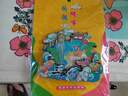 (買3贈(zèng)1)全國(guó)城市冰箱貼旅游紀(jì)念品禮品伴手禮居家裝飾品木制磁貼 海南-三亞 曬單實(shí)拍圖