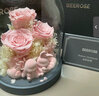 西羅斯（SEEROSE）永生花甜蜜對兔玫瑰花束裝飾擺件214情人節送女朋友老婆生日禮物 甜蜜對兔-粉色 全國7倉發(fā)-不支持代寫(xiě)賀卡 曬單實(shí)拍圖