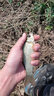 颶利強粗尾醒目魚(yú)漂高靈敏大粗尾釣加粗醒目大頭漂近視漂老人浮漂納米 醒目納米漂3只（3.8g/4.3g/4.6g 曬單實(shí)拍圖
