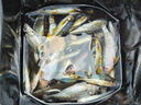 釣魚(yú)王溪流釣線(xiàn)組白條馬口石斑鳑鲏?mèng)~(yú)線(xiàn)七星漂魚(yú)鉤成品 2卷線(xiàn)組+5付鉤 曬單實(shí)拍圖