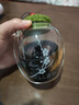 美斯尼 加厚玻璃茶葉罐醒茶罐密封罐儲(chǔ)物罐家用防潮儲(chǔ)藏罐茶具配件 秋茗 梅花300ml 曬單實(shí)拍圖
