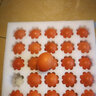 都爾霍姆（DUEHOLM） OMEGA-3有機雞蛋 720枚（60枚*12盒） 31.2kg DHA營(yíng)養家庭鮮雞蛋 曬單實(shí)拍圖