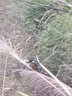 萊琥車載香薰出風(fēng)口香水汽車用品香氛片固體香膏車內(nèi)除異味空氣清新劑 沃爾沃XC60XC90S90S60 1g 曬單實(shí)拍圖