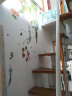 缔卡（DKtie）墙纸自粘卧室客厅书房墙壁贴纸墙贴房间装饰布置贴画背景墙贴纸 盆栽艺术（绿植）三代材质 大 实拍图