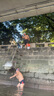 捷虎泳鏡近視大框高清防霧游泳鏡成人電鍍泳鏡男女士專業(yè)游泳裝備 8150透明藍升級連體耳塞無近視 曬單實拍圖