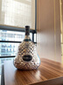 軒尼詩(shī)（Hennessy）XO老酒 第八代珍藏限量款禮盒3000mL 干邑白蘭地法國原裝進(jìn)口洋酒 3000mL 1瓶 曬單實(shí)拍圖
