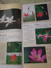 人美版六6年級上冊美術(shù)書(shū) 小學(xué)教材課本教科書(shū) 6六年級上冊學(xué)生用書(shū) 義務(wù)教育教科書(shū) 人民美術(shù)出版社 曬單實(shí)拍圖