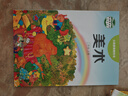 新華書(shū)店新版小學(xué)二年級上冊美術(shù)書(shū)湘美版 2二年級美術(shù)上冊課本 二上美術(shù)教材教科書(shū)湖南美術(shù)出版社 曬單實(shí)拍圖