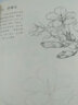 花卉速寫描摹本 零基礎(chǔ)畫畫入門新手自學(xué)教程書籍線描花卉臨摹手繪初學(xué)者學(xué)繪畫教材鉛筆畫素描速寫描摹畫稿 曬單實(shí)拍圖