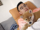 hoopet狗狗寵物貓咪玩具球小狗咬膠磨牙發(fā)聲耐咬幼犬逗狗球球貓鈴鐺小球 七彩響鈴球-大號(hào):直徑8.5 曬單實(shí)拍圖