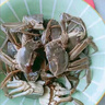 【活蟹】湖鮮陽(yáng)澄 大閘蟹 去繩足重 2.3-2.6兩 8只 鮮活六月黃現(xiàn)貨超大螃蟹水產(chǎn)禮盒裝 曬單實(shí)拍圖