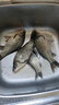 海迪 進(jìn)口魚(yú)線(xiàn)激光飛磕線(xiàn)金剛釣魚(yú)線(xiàn)主線(xiàn)子線(xiàn)黑坑超強拉力大力馬PE線(xiàn) 綠色飛磕主線(xiàn) 0.3號 曬單實(shí)拍圖