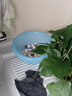 boxtech培菌球細菌中空奈米球凈水魚(yú)缸過(guò)濾材料水族箱細菌屋陶瓷環(huán)去氨氮 粉色納米培菌球3斤 曬單實(shí)拍圖
