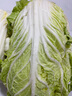 千朵云山東新鮮露天大白菜 農(nóng)家自種東北白菜當(dāng)季黃心鮮嫩華菜整箱蔬菜 約10斤 曬單實(shí)拍圖