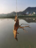 帆都魚竿釣魚竿超輕超硬手竿28調(diào)鯽魚竿鯉魚桿溪流竿短節(jié)竿漁具套裝D 3.6米(實際長度3.4米)送（漂+線組+魚鉤） 曬單實拍圖