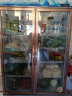 新飞（Frestec）商用大容量展示柜冷藏柜饮料柜超市便利店冰箱立式冰柜水果蛋糕柜食品留样柜 双门风冷玫瑰金900L 实拍图