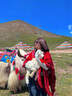 CHANEELR & KARITH民族風(fēng)連帽大披肩女旅游披風(fēng)外搭流蘇斗篷生日小眾禮物送女友老婆 酒紅 曬單實拍圖