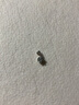 周六福（ZLF）  18K金鉆石吊墜女閃耀爪鑲顯鉆雪花掛墜項鏈 約10分 雪花吊墜（不含鏈） 曬單實拍圖