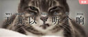 【嘿喲音樂】《 花樣的年華》周璇 白光 張露 李香蘭 姚莉 吳鶯音 合集 黑膠唱片LP 曬單實拍圖