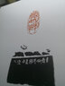 疁城汪氏春暉堂藏印百品 上海書(shū)畫(huà)出版社  汪稟 等 編 朵云真賞苑·珍石名印 精裝 書(shū)籍 曬單實(shí)拍圖