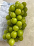 正宗陽(yáng)光玫瑰葡萄無(wú)籽葡萄新鮮水果當季順豐整串箱5斤無(wú)籽青提子 凈重4.5斤2串丨禮盒裝 順豐包郵 曬單實(shí)拍圖