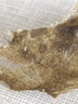 慕霖兮 越南原料去黑頭粉刺面膜小綠膜 清潔毛孔綠茶撕拉式面膜粉非VZA 2瓶 曬單實(shí)拍圖
