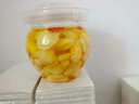人參枸杞泡姜芽嫩姜0脂正宗山東淄博頭茬新姜 【特別添加人參】508g*2罐-新姜 曬單實拍圖