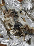 【漁大吉】金鯧魚(yú)新鮮湛江特產(chǎn)深海漁海捕海鮮禮盒金昌魚(yú)6包/箱 曬單實(shí)拍圖
