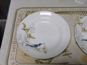 Gao Chun Ceramics高淳陶瓷 手繪骨瓷餐具套裝家用簡(jiǎn)約餐具米飯碗碟盤(pán)碟碗送禮套裝 8英寸平盤(pán) 曬單實(shí)拍圖