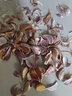 壽禾 蒜苗種子籽蔬菜種子盆栽新種植洋蒜韭蔥青蒜苗紅根蒜四季寬葉 紅根蒜苗種子 500g【蒜瓣】 曬單實(shí)拍圖